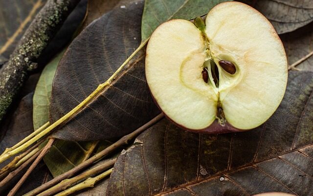 apple seed toxic food for birds