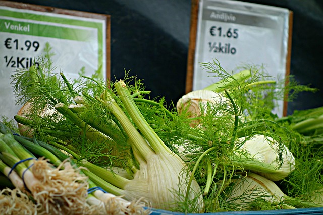 Fennel food source